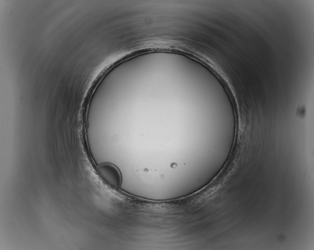 X0000115241045200911201616