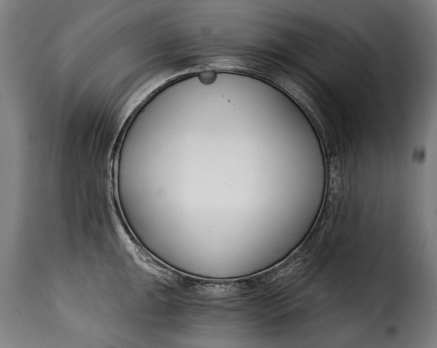 X0000115241047200911201616