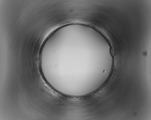 X0000115241048200911201616