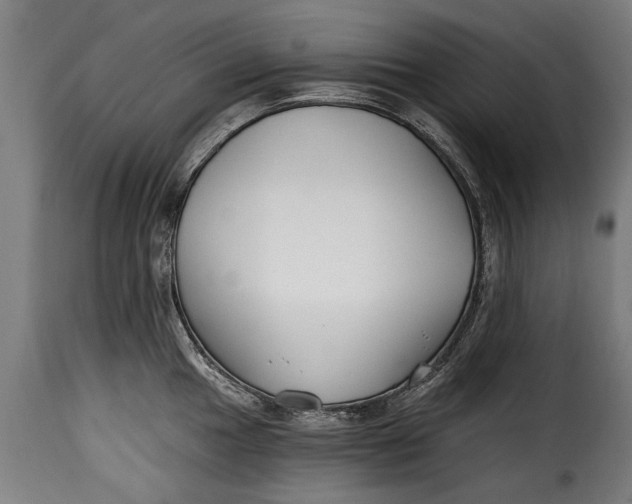 X0000115241049200911201616