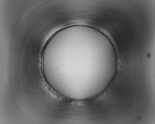X0000115241051200911201616