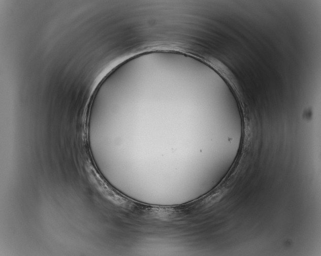 X0000115241052200911201616