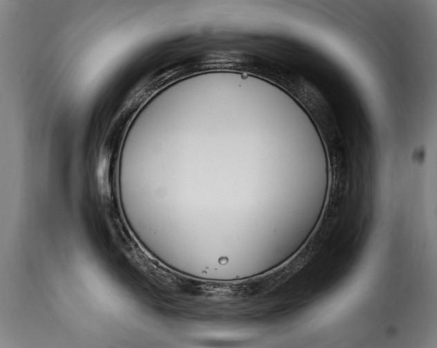 X0000115241054200911201616