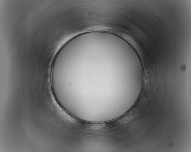 X0000115241055200911201616