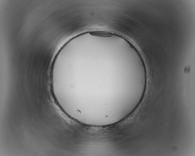 X0000115241056200911201616
