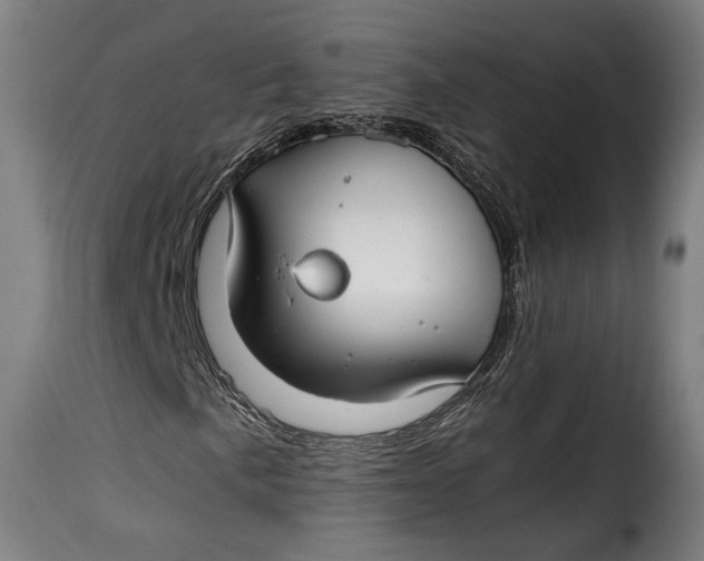 X0000115241057200911201615