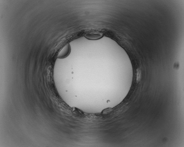 X0000115241059200911201615