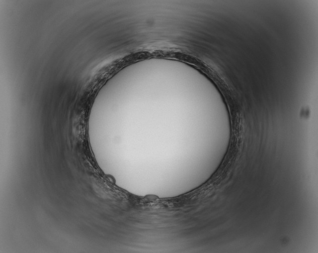X0000115241063200911201615