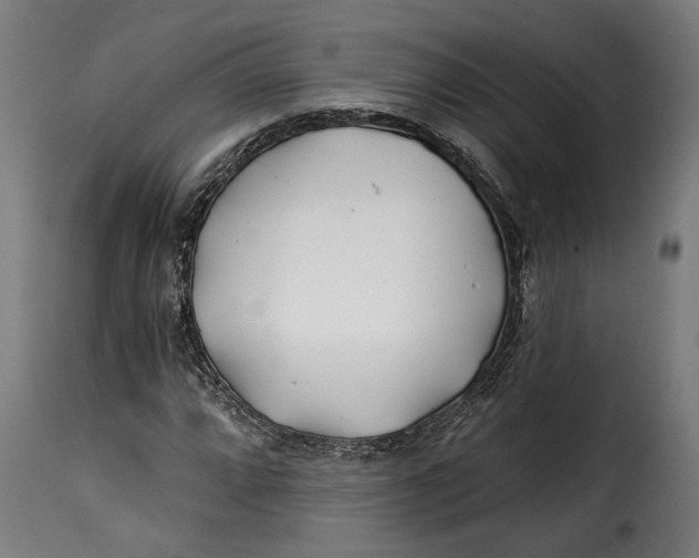 X0000115241064200911201615