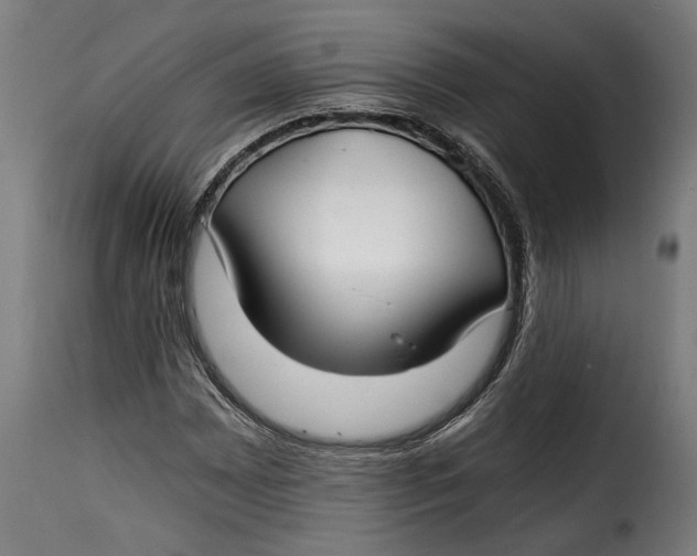 X0000115241065200911201615