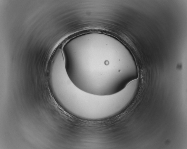 X0000115241068200911201615
