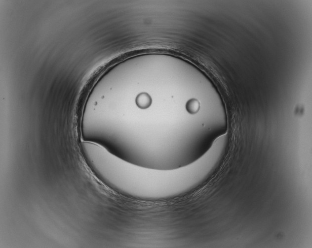 X0000115241072200911201615