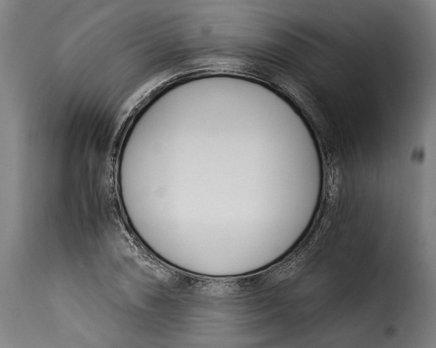 X0000115241074200911201615
