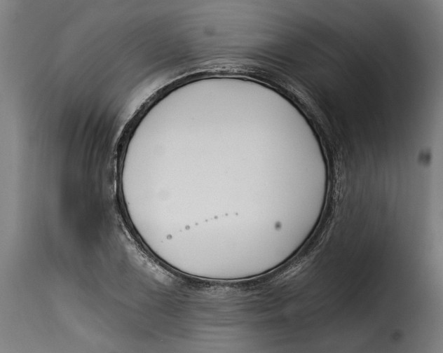X0000115241075200911201615