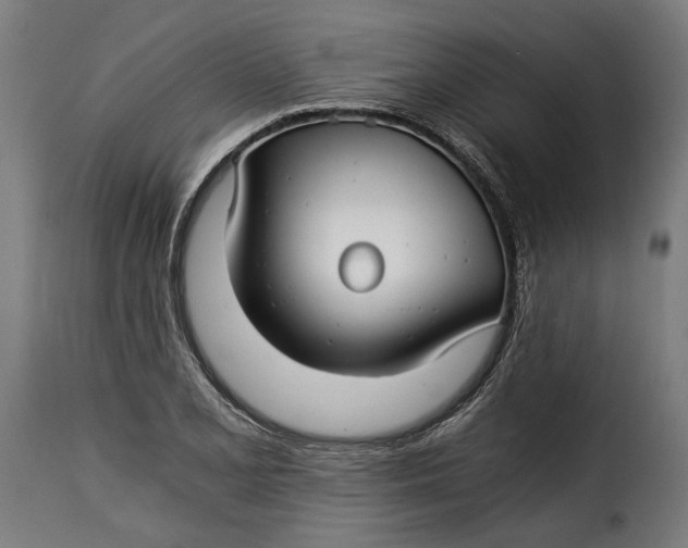 X0000115241077200911201615