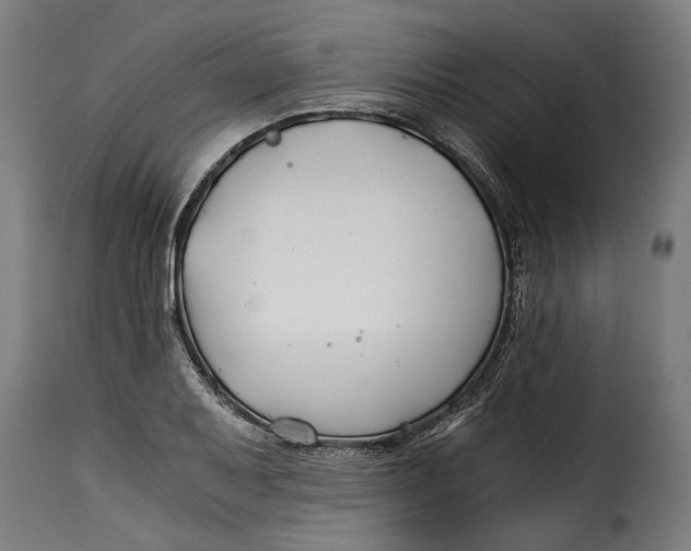 X0000115241079200911201615