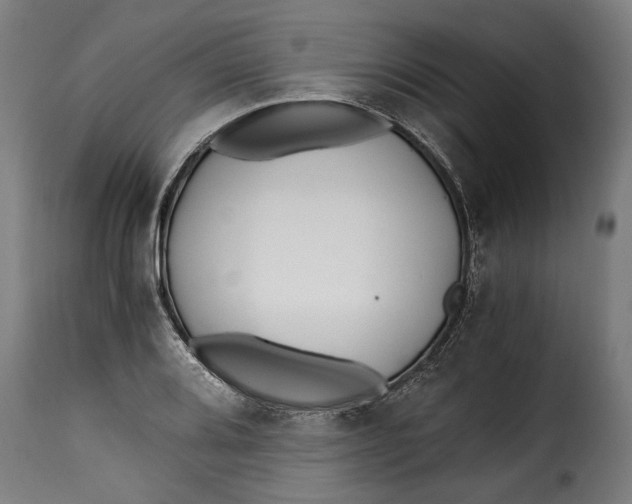 X0000115241080200911201615