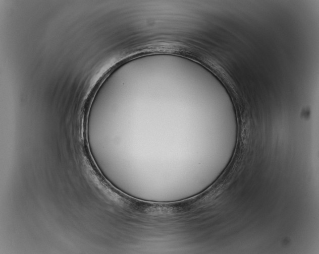 X0000115241083200911201615