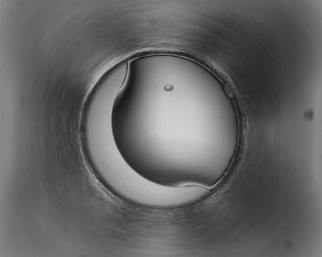 X0000115241085200911201615