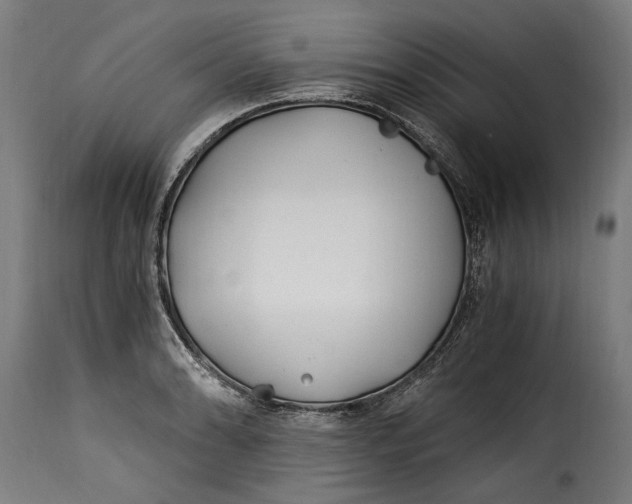 X0000115241086200911201615