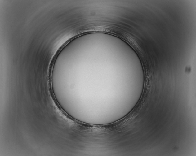 X0000115241087200911201615