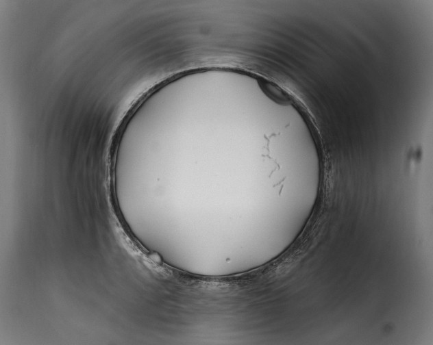 X0000115241088200911201615