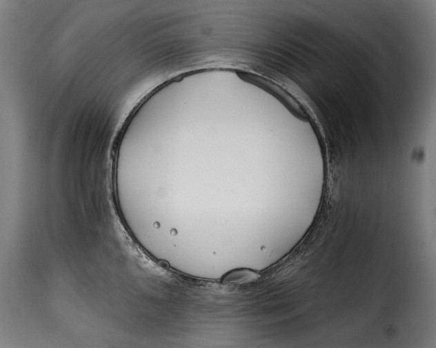 X0000115241096200911201615