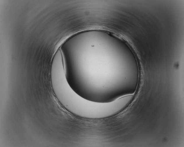 X0000115241097200911201615