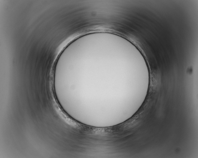 X0000115241098200911201615