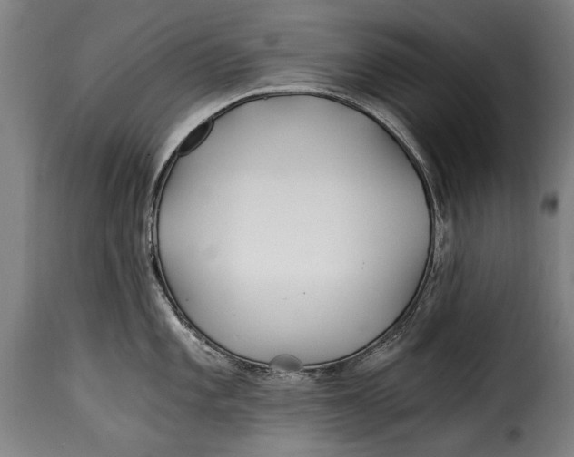 X0000115241101200911201615