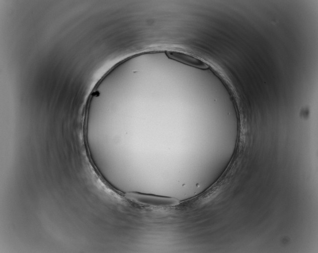 X0000115241102200911201615