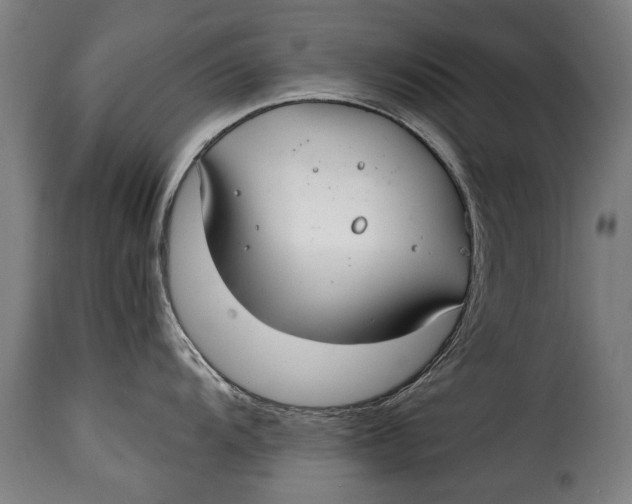 X0000115241104200911201615