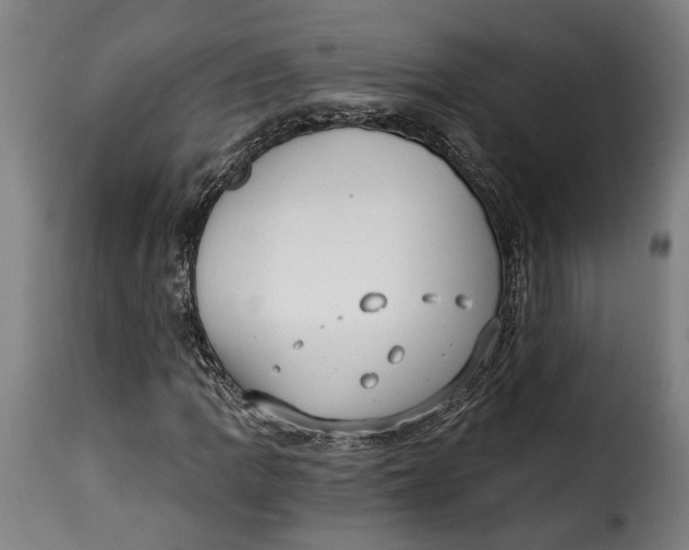 X0000115241109200911201614