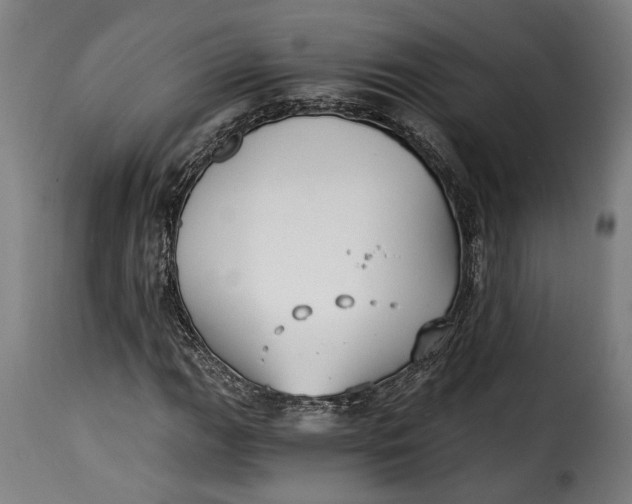 X0000115241111200911201614