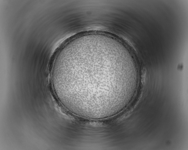 X0000115241117200911201614