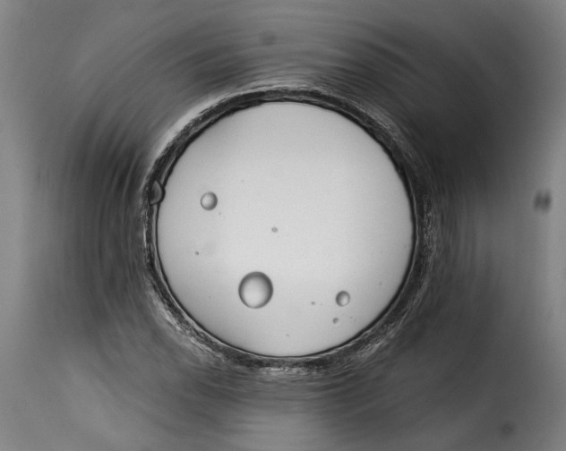 X0000115241118200911201614