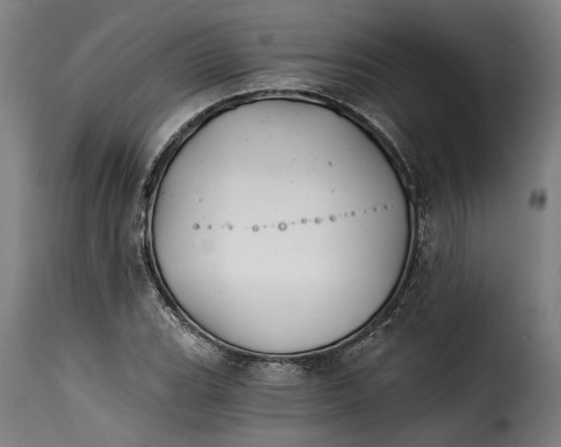 X0000115241119200911201614