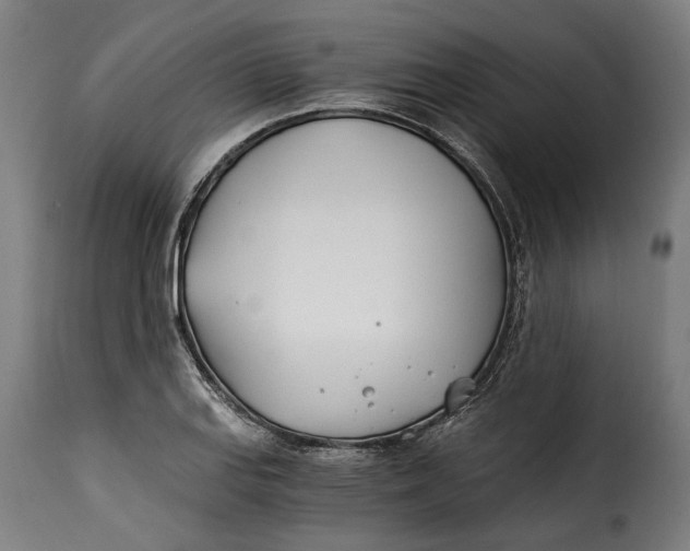 X0000115241127200911201614
