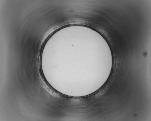 X0000115241130200911201614