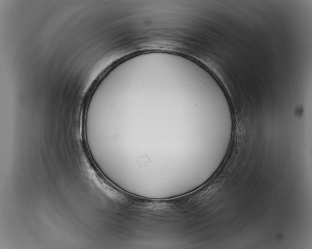X0000115241131200911201614