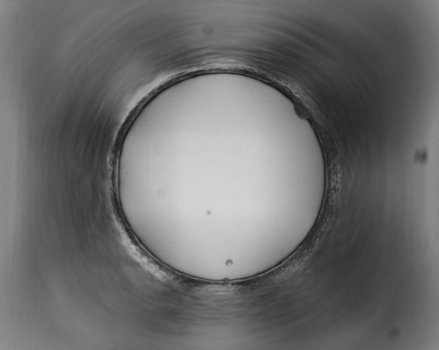 X0000115241134200911201614