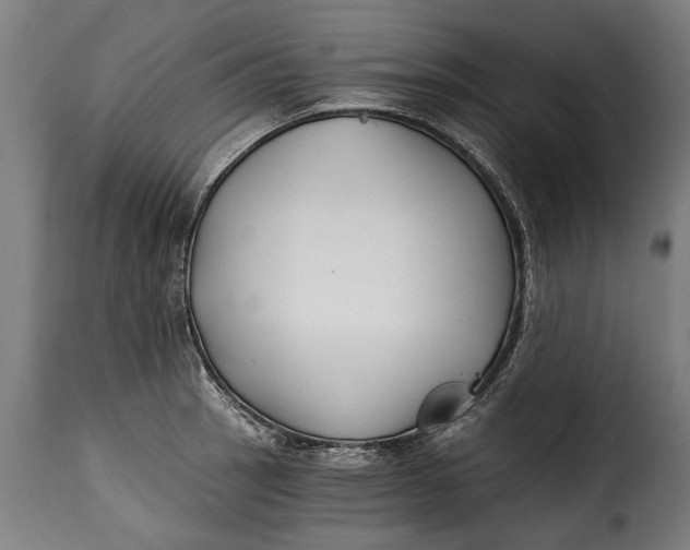 X0000115241137200911201614