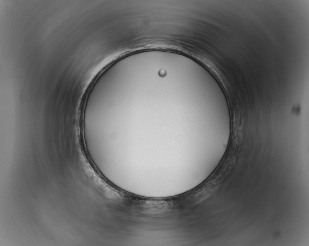 X0000115241142200911201614