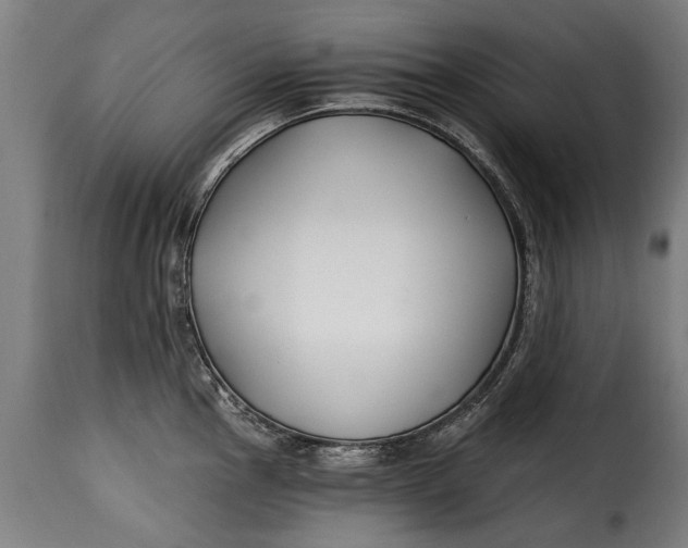 X0000115241145200911201614