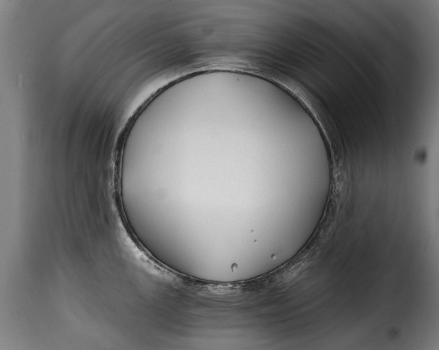 X0000115241147200911201614