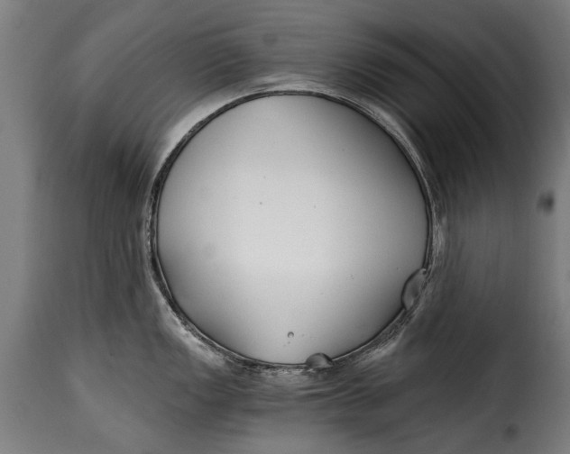 X0000115241149200911201615