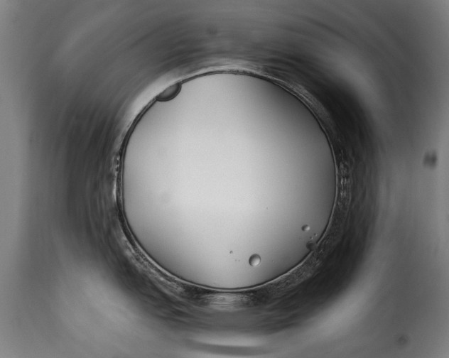 X0000115241151200911201615