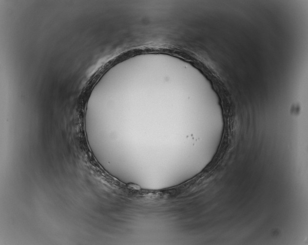 X0000115241160200911201614