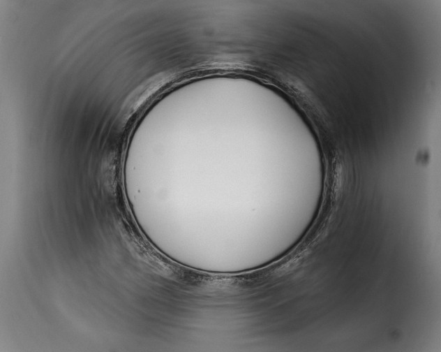 X0000115241162200911201614