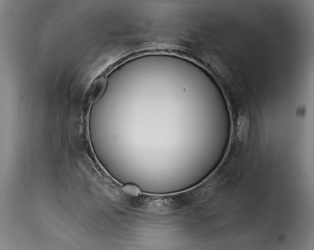 X0000115241165200911201614